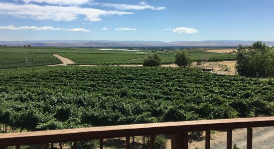 wp-content-uploads-2021-08-Silver-Lake-Winery.jpg