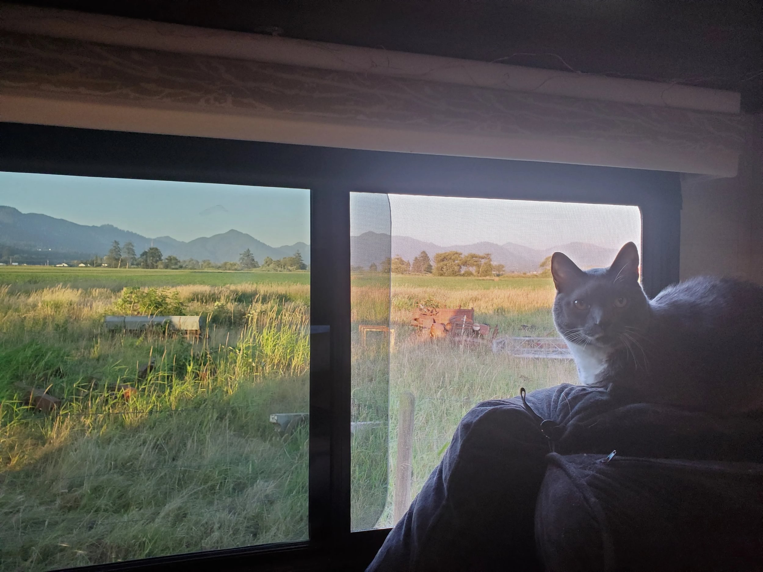 20190720_202512 - Large.jpg