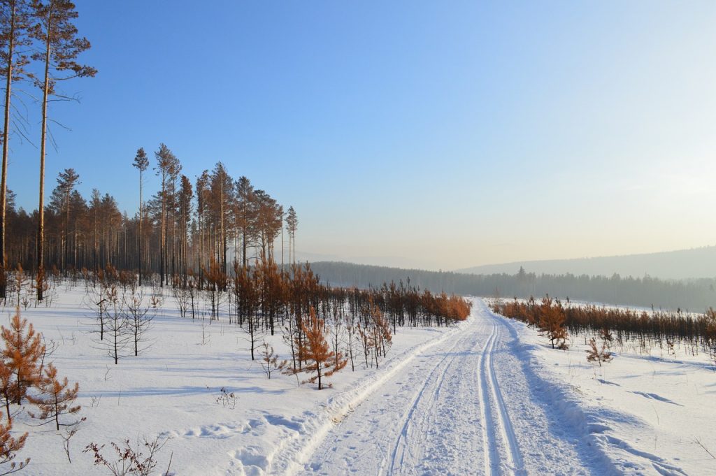 There's nothing like taking a drive through a winter wonderland.