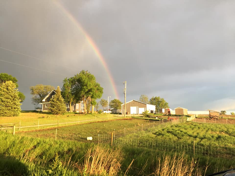 wp-content-uploads-2021-08-Anchor-Meadow-Farm.jpg