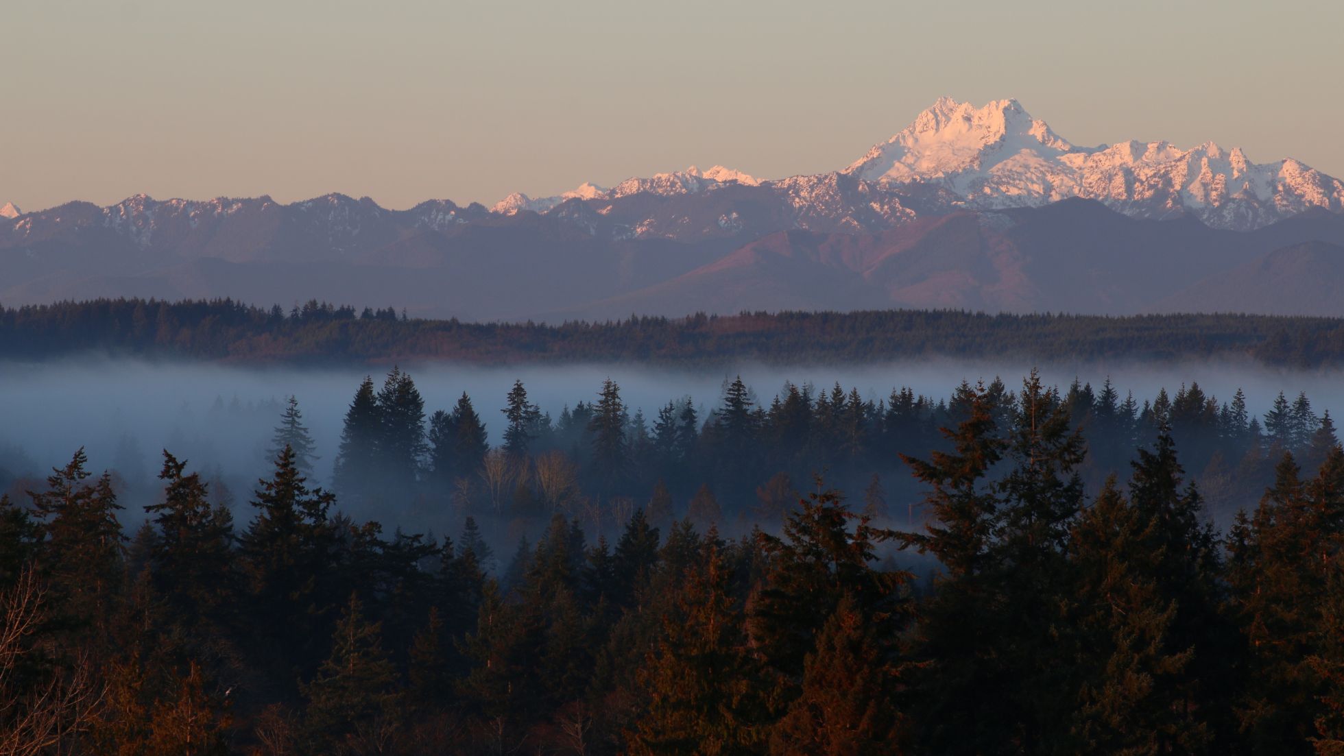 Great New Hosts in the Pacific Northwest