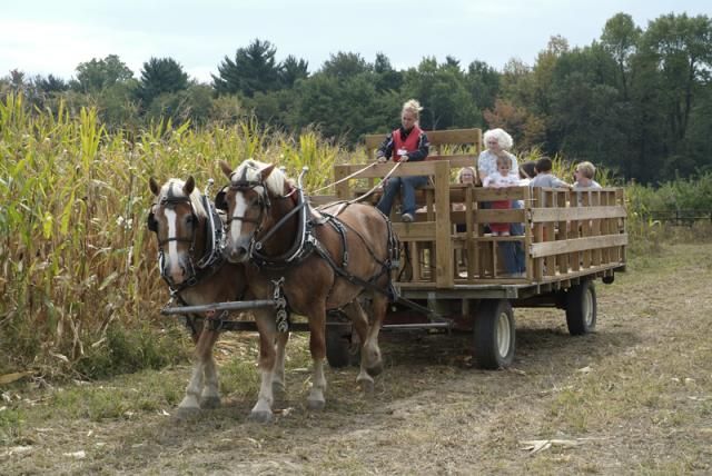 New York Harvest Hosts location