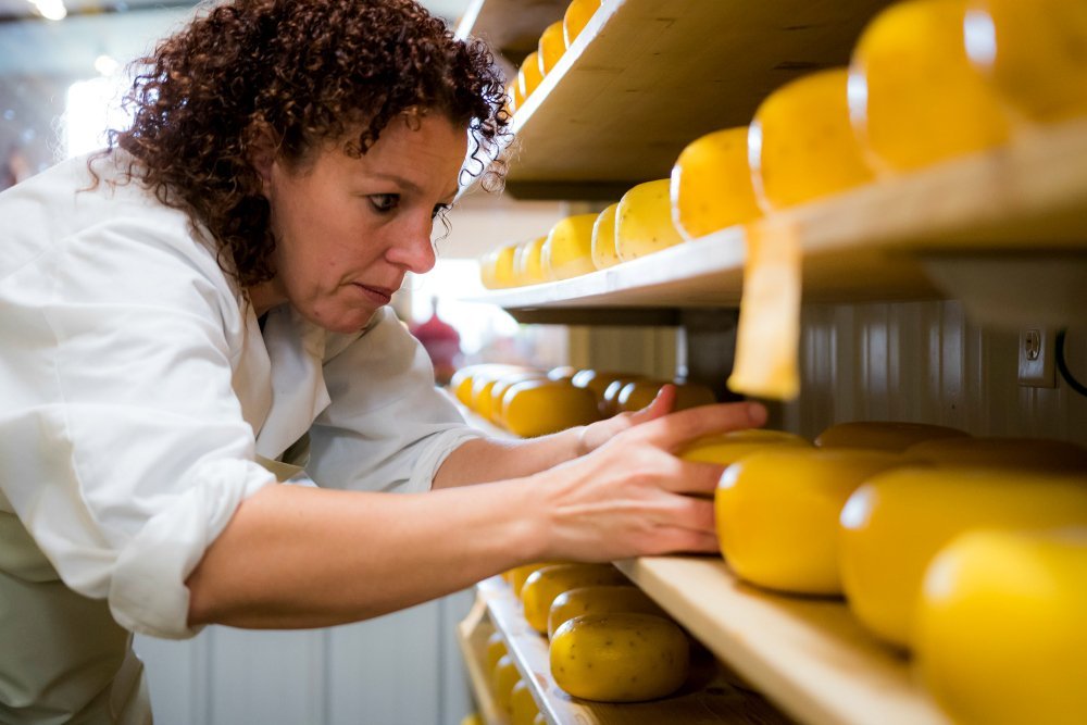wp-content-uploads-2020-03-hollands-family-cheese.jpg