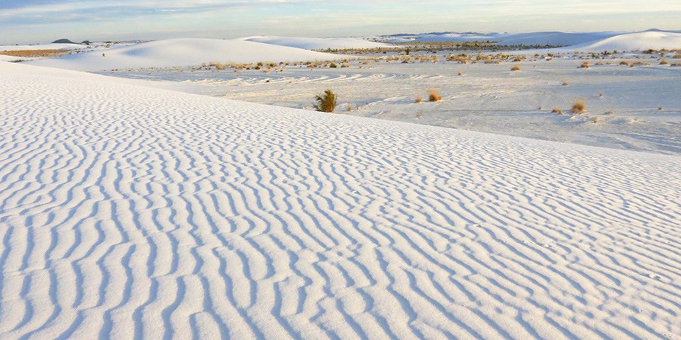 Swimming white sands at White Sands National Park in New Mexico