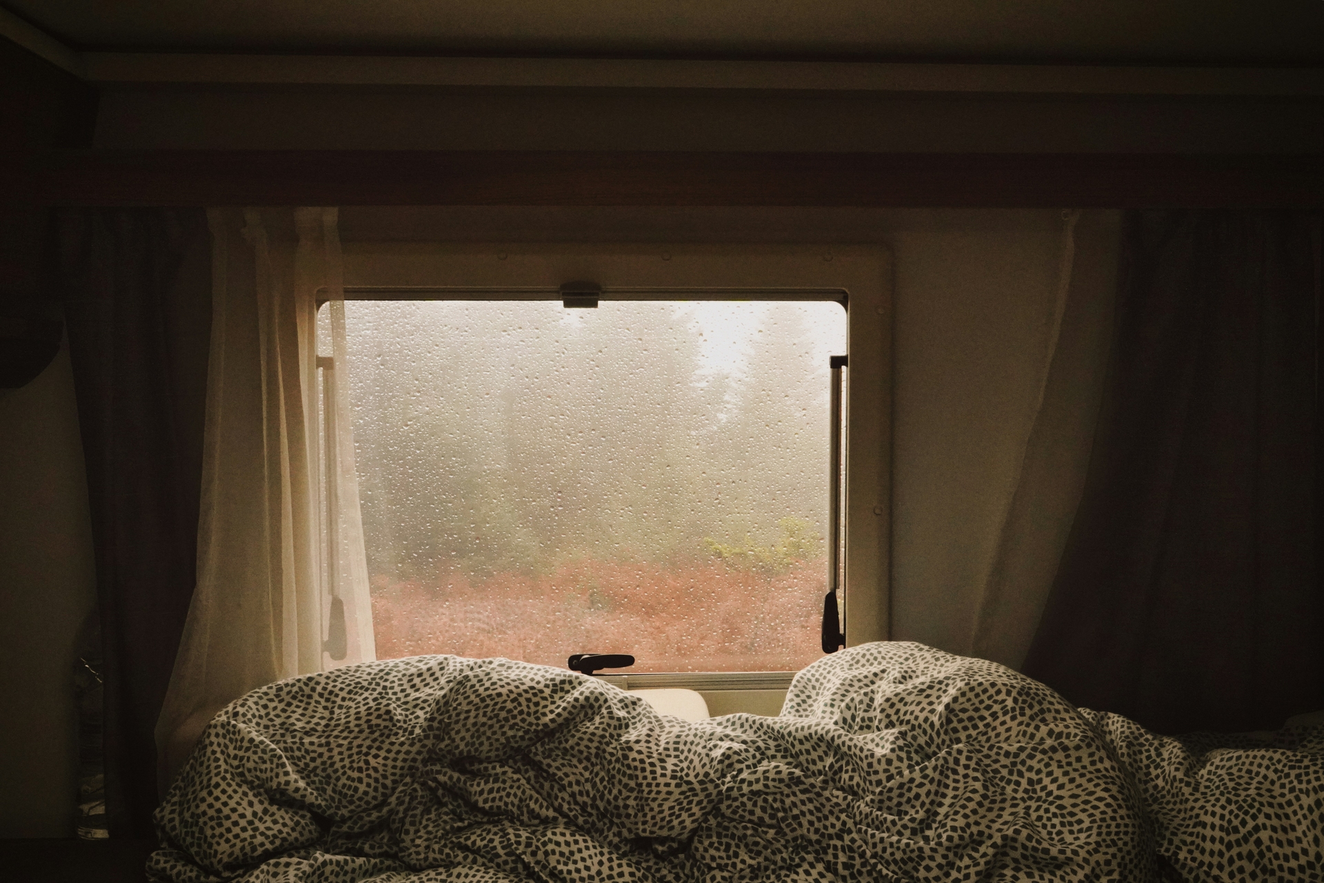 daria-tkachenko-vyrmd8q_olA-unsplash.jpg