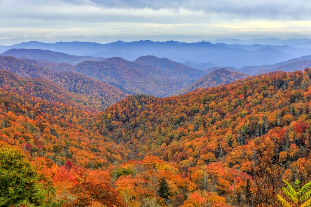 wp-content-uploads-2019-09-great-smoky.jpg