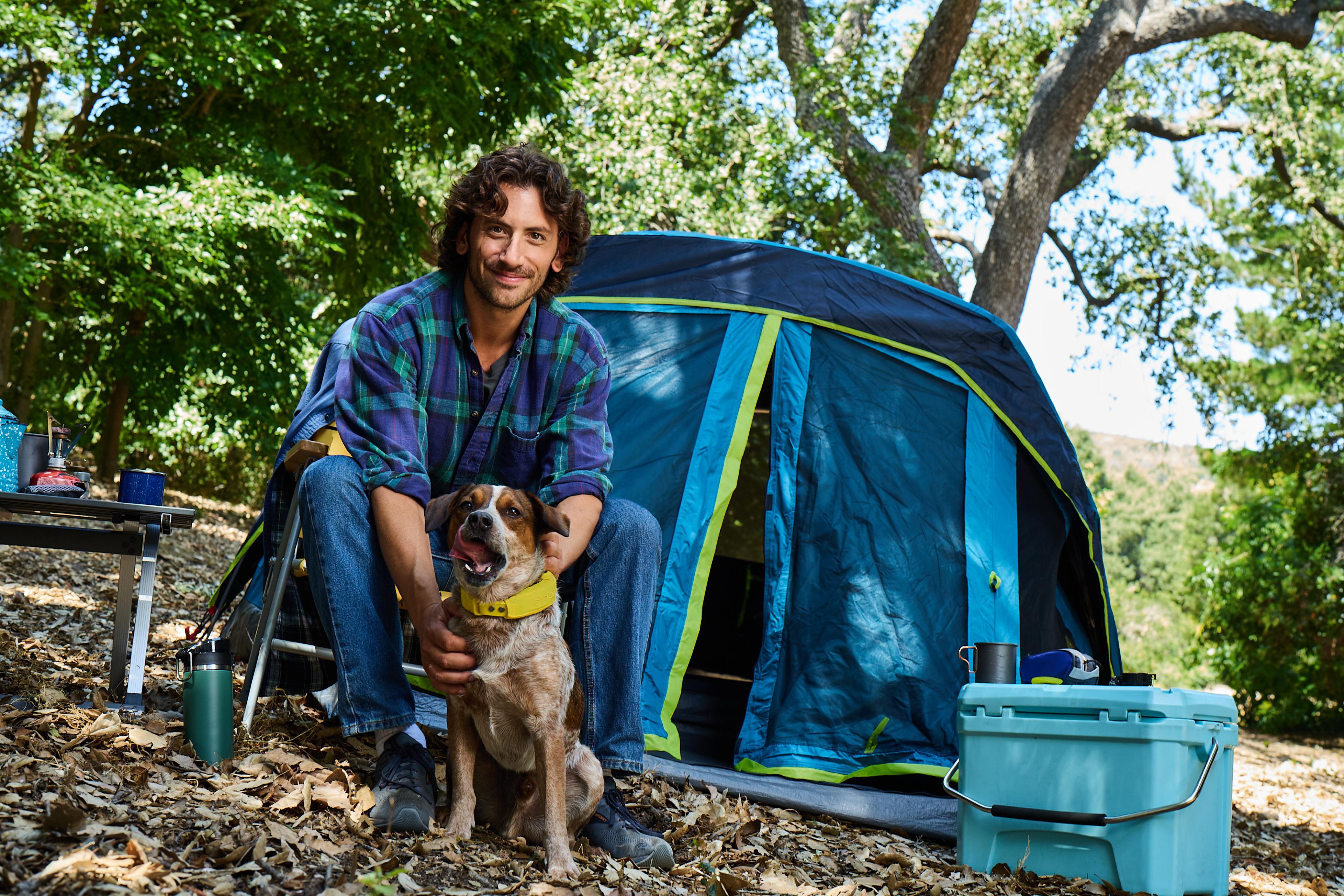 The RV Traveler's Dog Guide: Keeping Your Pup Safe at Every Harvest Hosts Stop