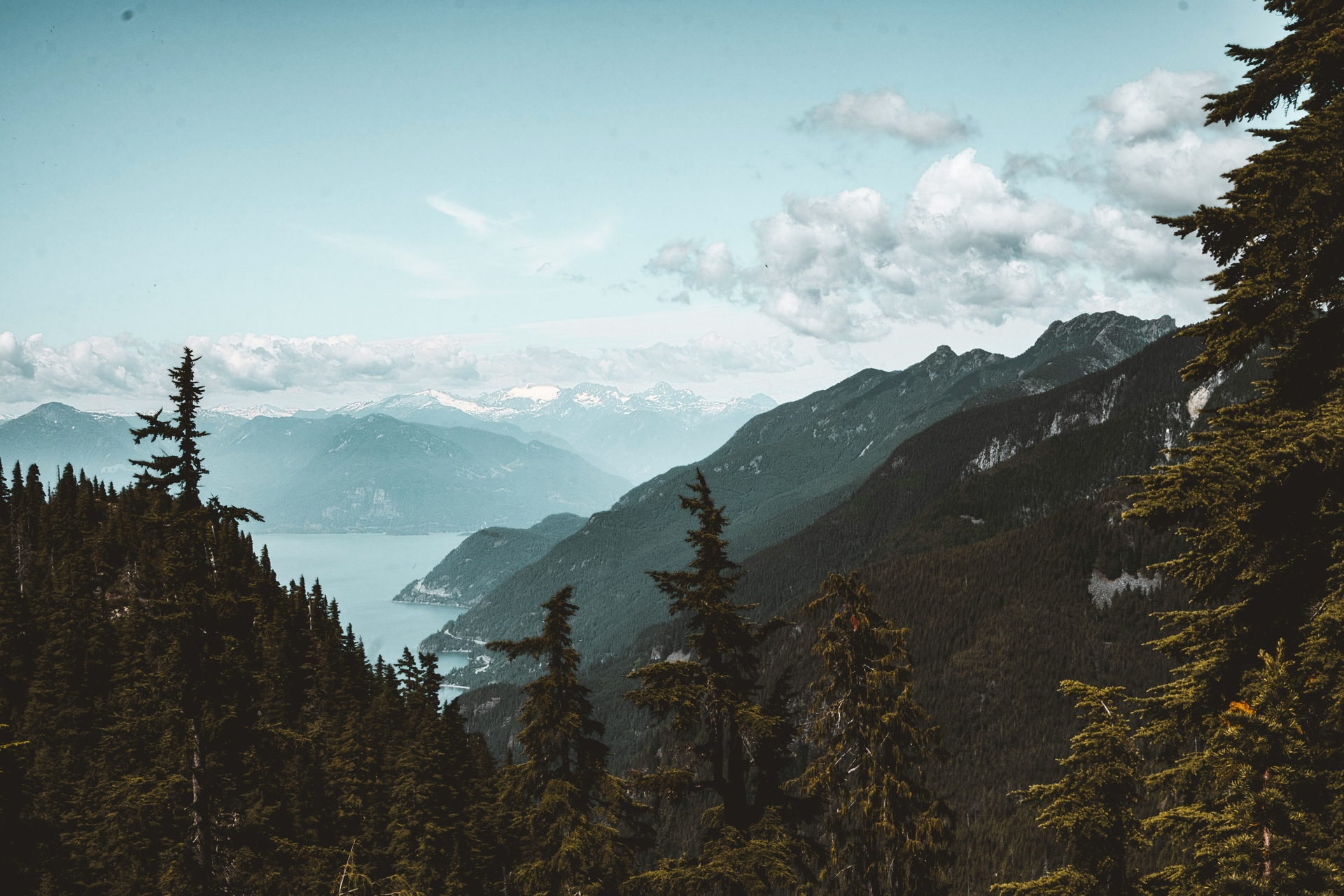 jess-barnett-OZ39FEsj7lk-unsplash.jpg