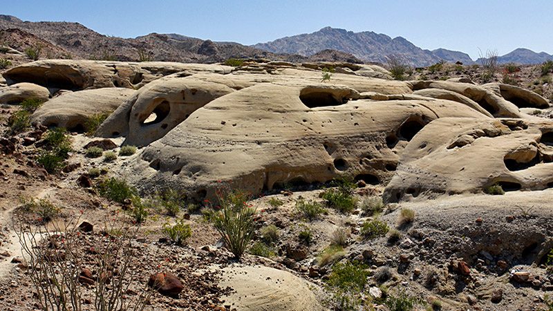 anza borrego view