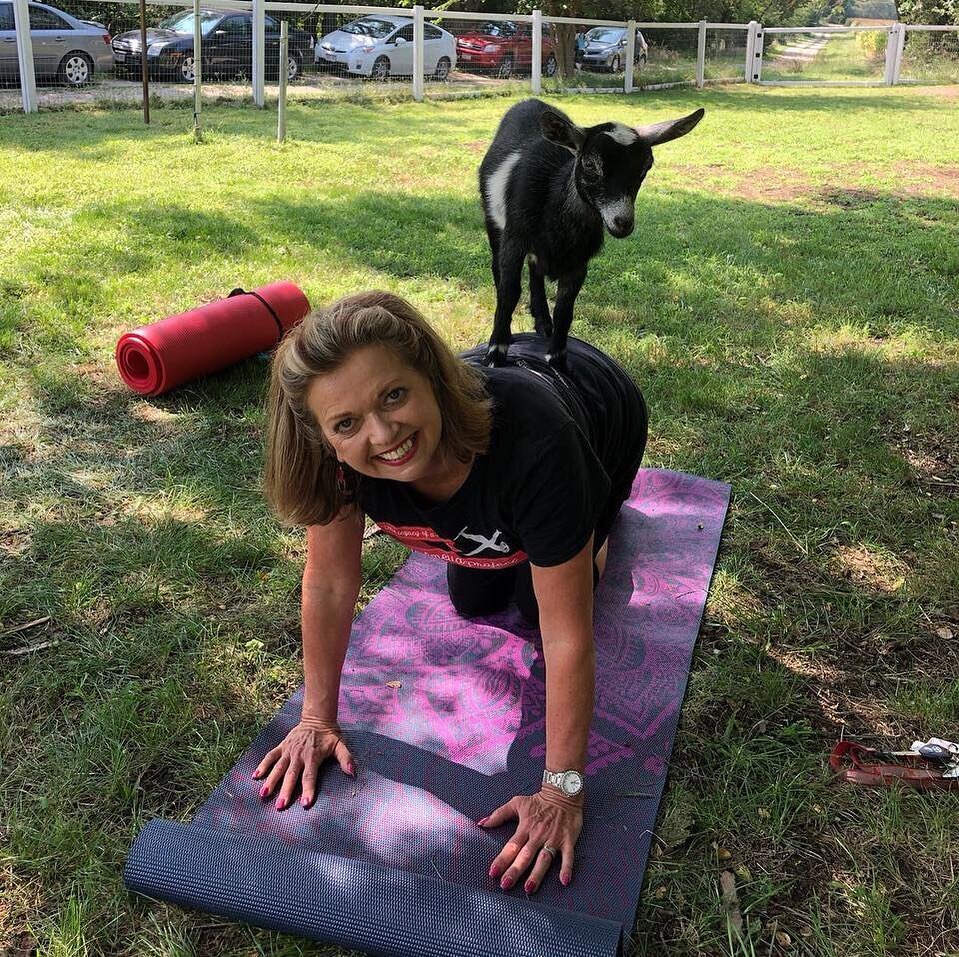 A woman enjoys a goat's presence during goat yoga.