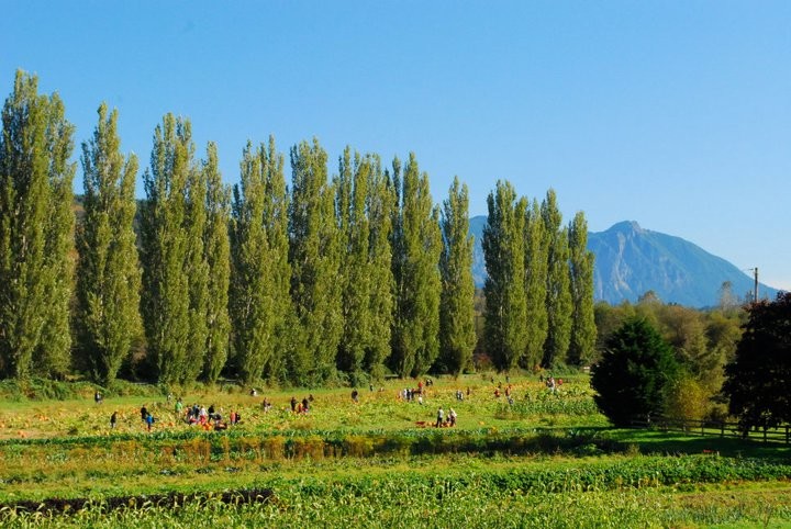 wp-content-uploads-2020-08-fall-city-farms.jpg