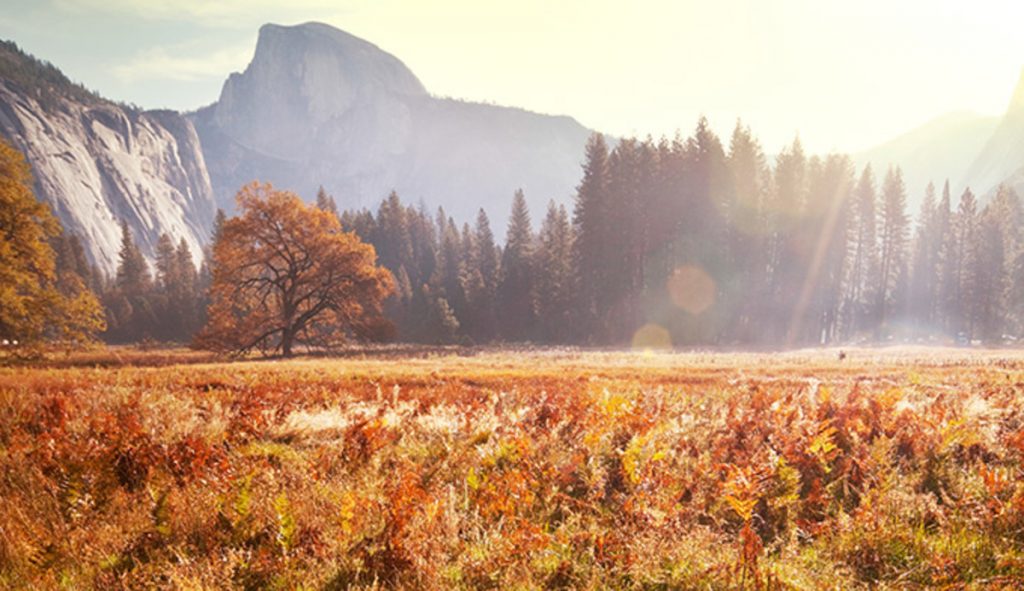 wp-content-uploads-2019-09-yosemite-1024x591.jpg