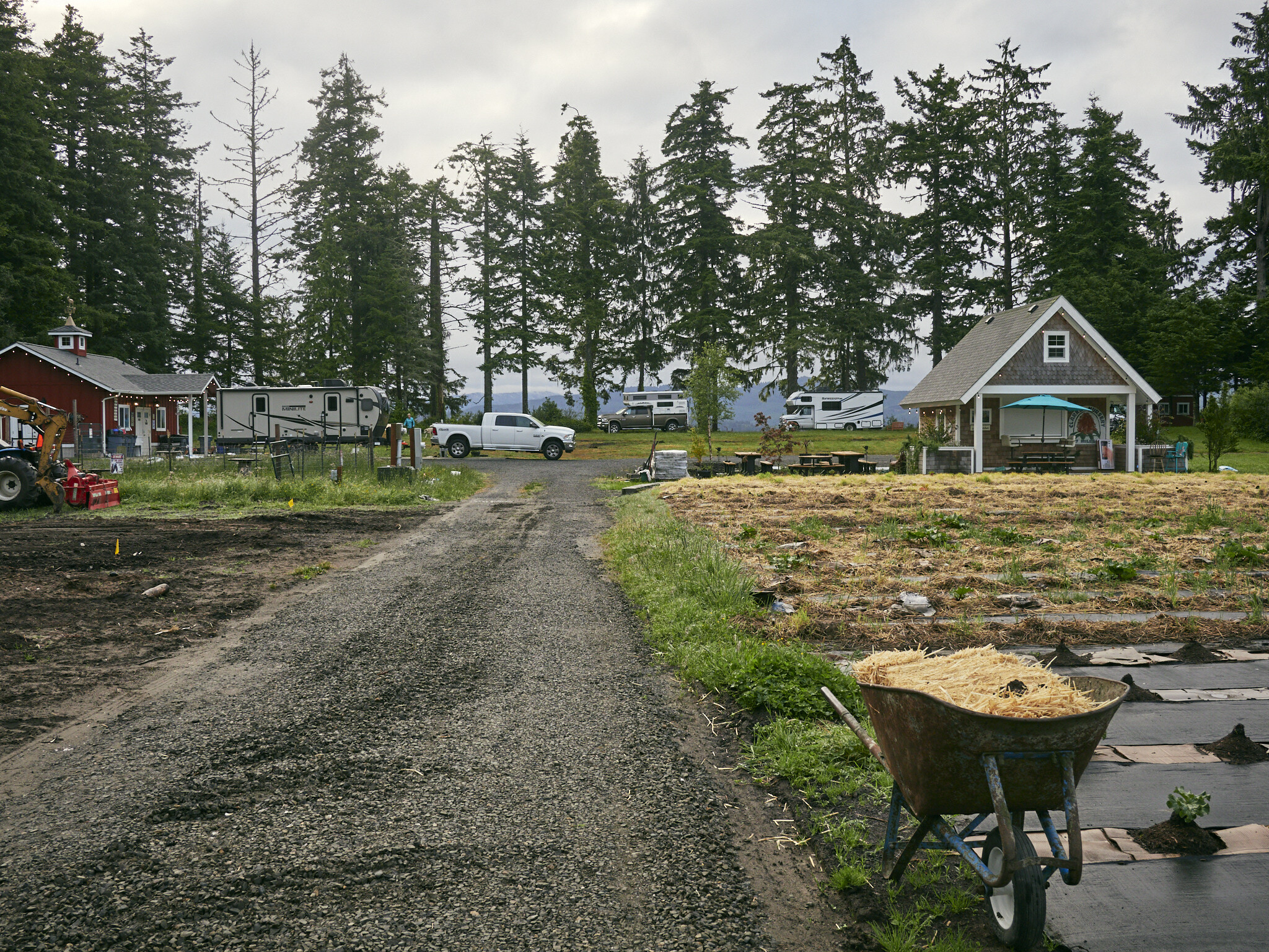 hh_willapa-bay-heritage-farm-llc_mid_182177_nils-eddy_22-07-01_mdYDmtnHTnTCMc1X_5e8cb728be2f0b00ee7f66ce851b926b.jpg