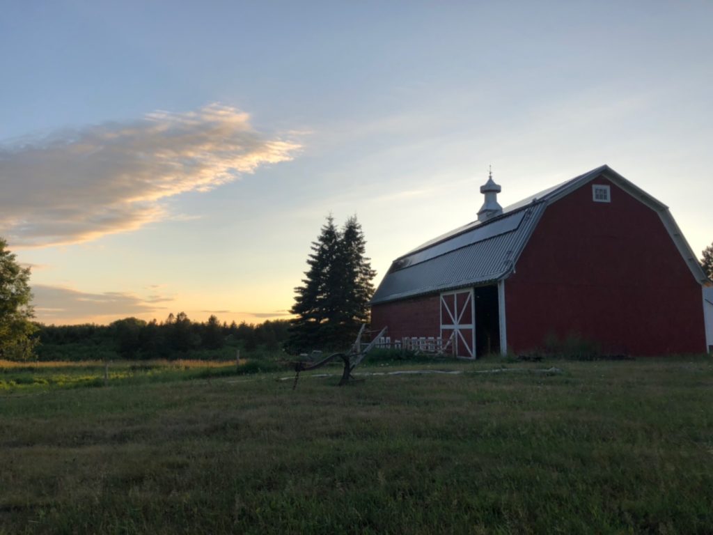 Canosia Grove is an awesome Harvest Hosts location in Minnesota.