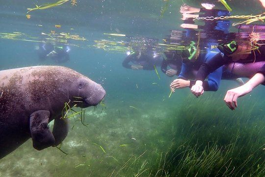 wp-content-uploads-2022-02-10-Photo-credit-Tripadvisor.jpg