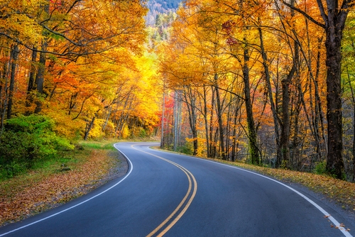 wp-content-uploads-2019-09-kanss.jpg