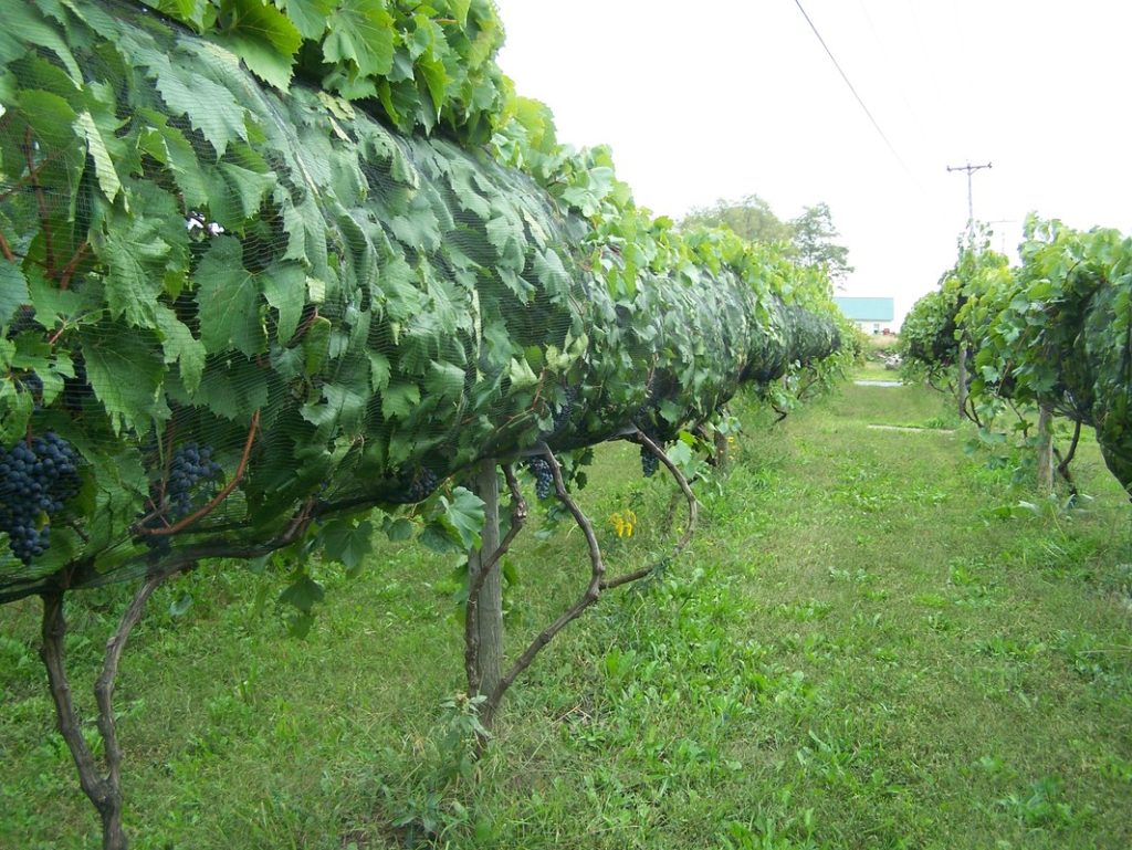 New York Harvest Hosts location