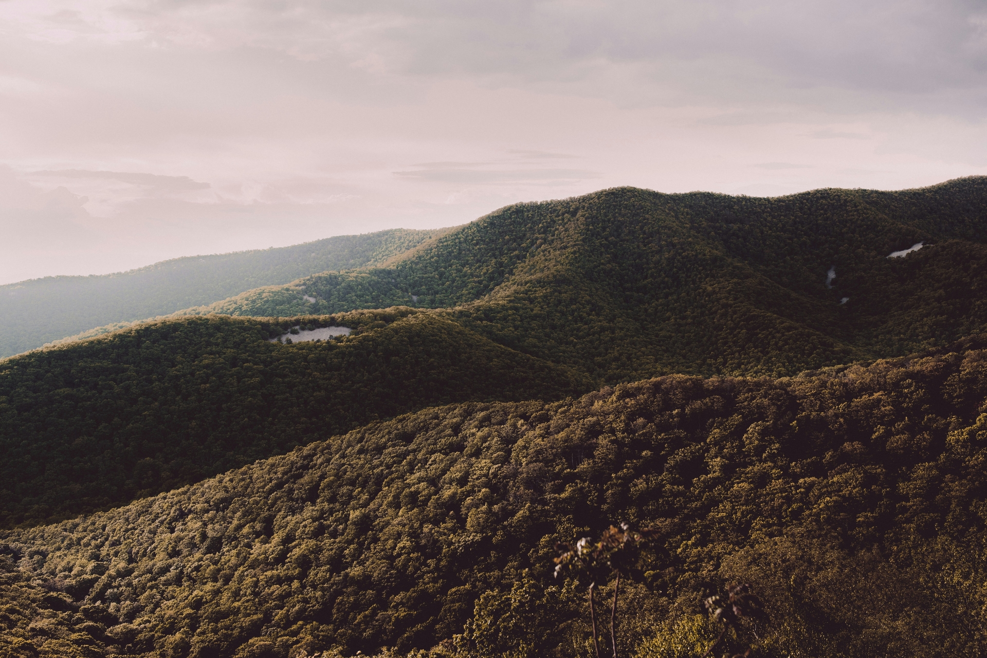 andrew-neel-OOo1c_jJ0Fk-unsplash.jpg