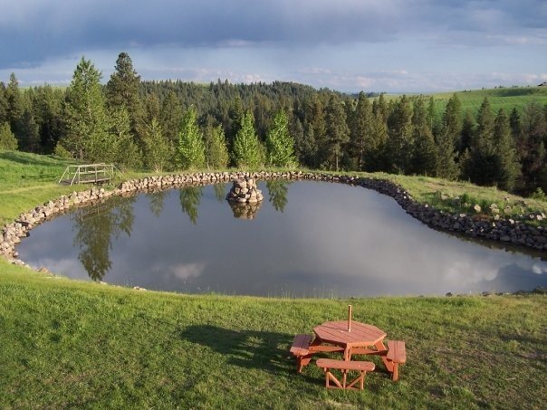 The property has lots of wood and a big pond available for use.