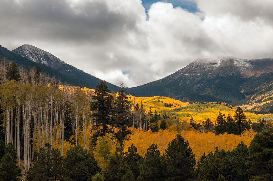 wp-content-uploads-2019-09-flagstaff.jpg