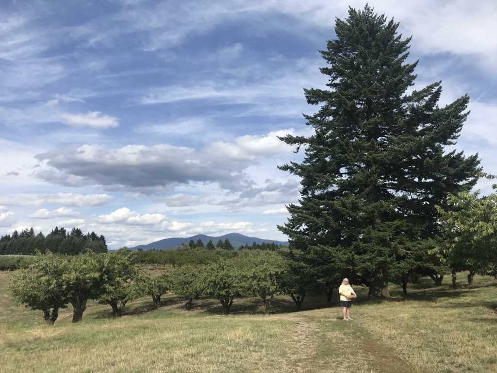 Hidden Acres property is truly spectacular.