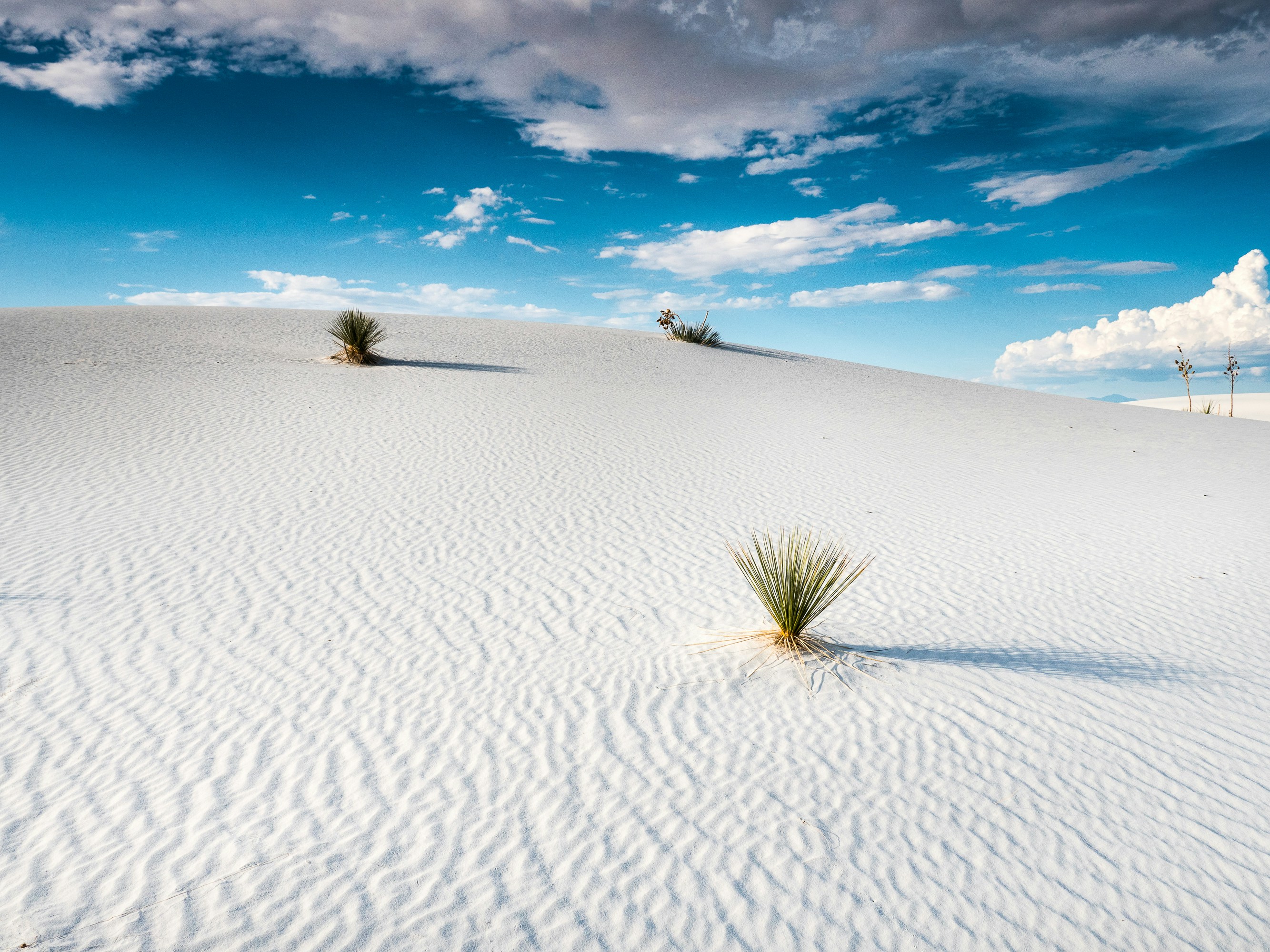 White Sands Nat Park.jpg