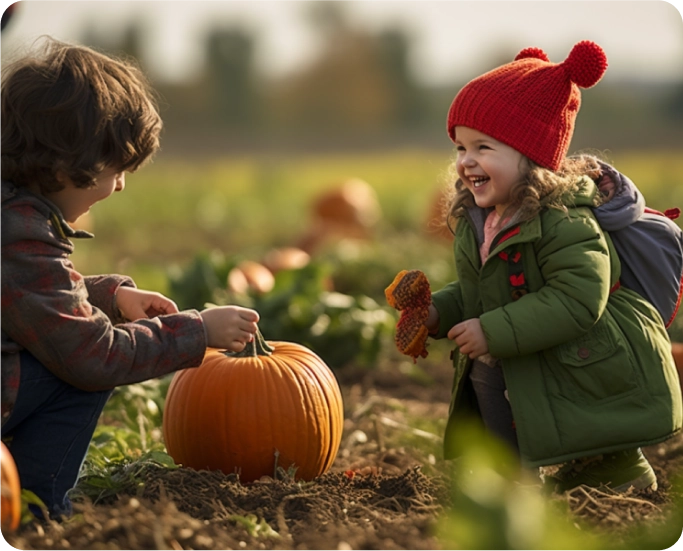 Pumpkin-Patch.webp