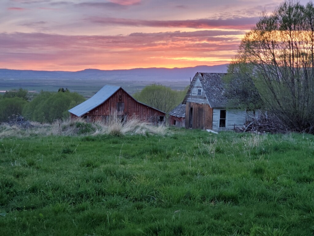 wp-content-uploads-2021-05-Almosta-Farm-at-Cove.jpg
