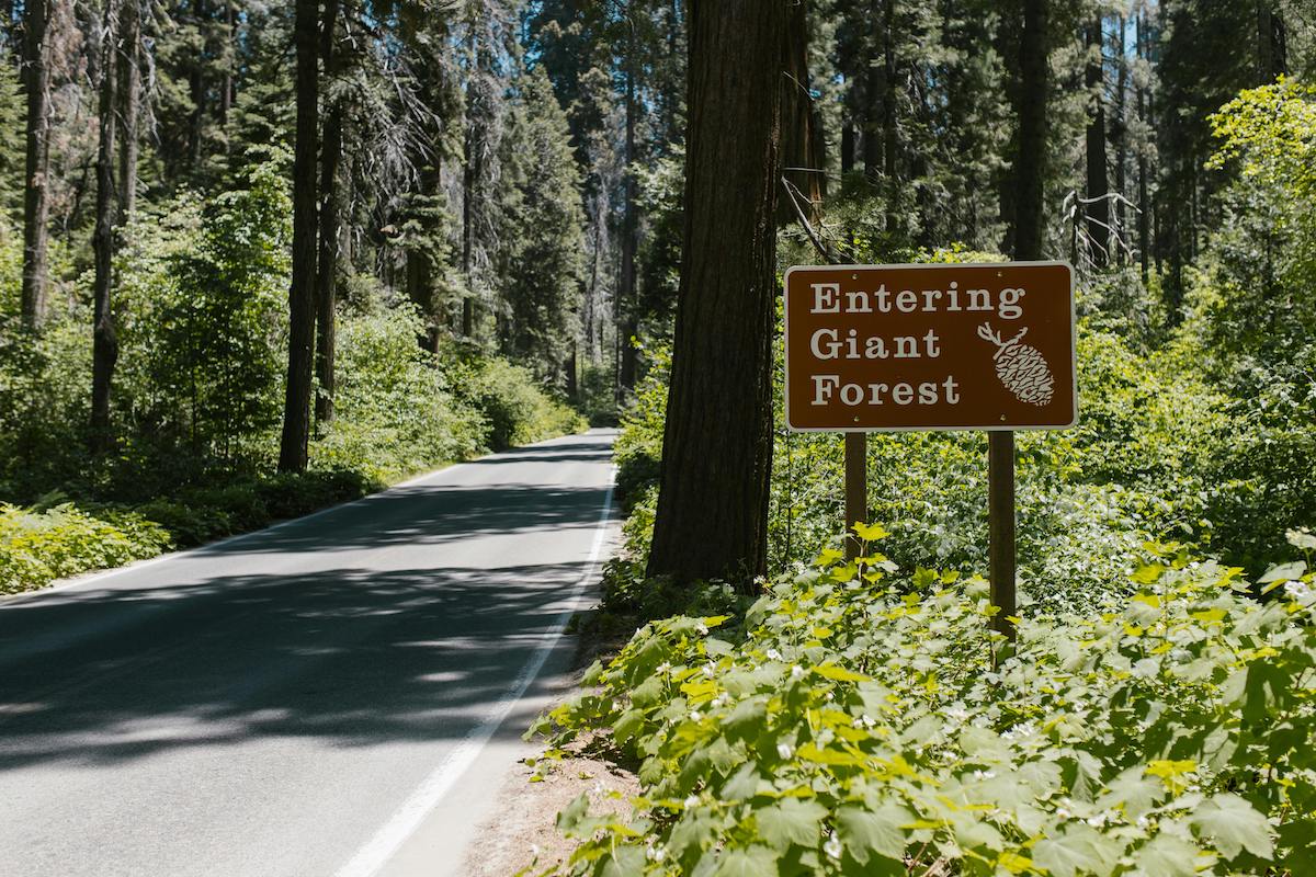 Image of Sequoia National Park RV Camping