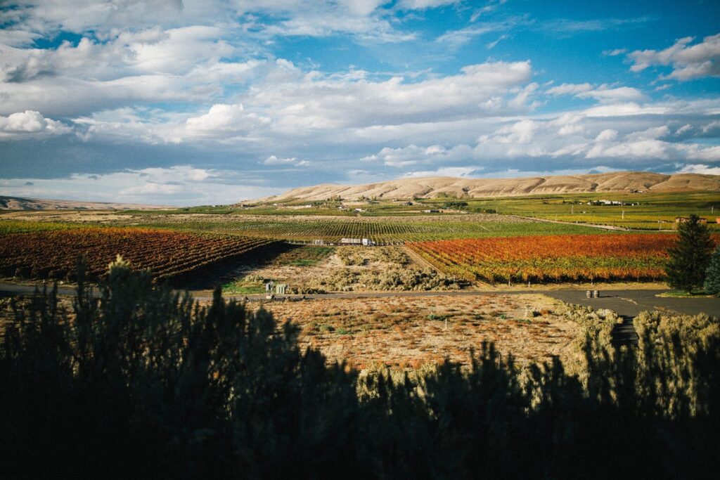 wp-content-uploads-2021-08-Kiona-Vineyards-Winery-1024x683.jpg