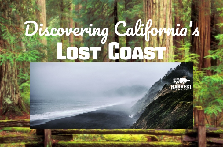 Discovering California''s Lost Coast