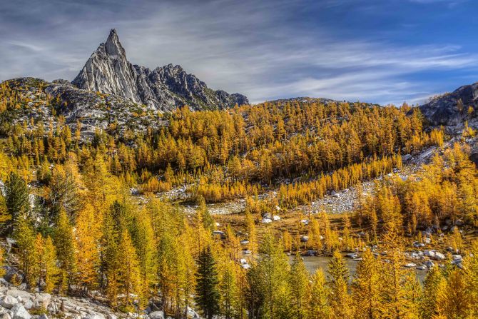 wp-content-uploads-2019-09-larches-washington.jpg