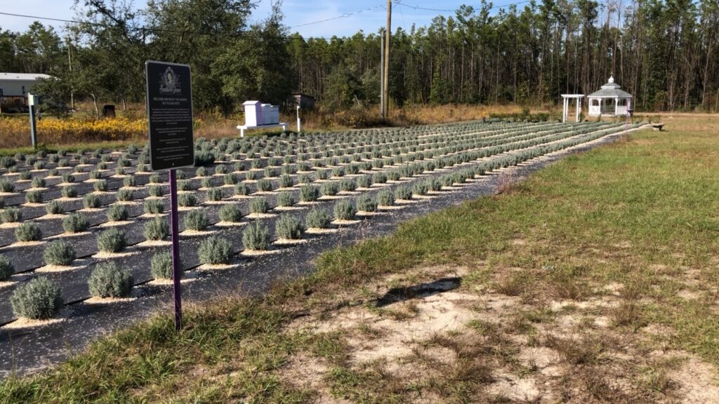 wp-content-uploads-2022-02-3-Photo-credit-WJHG-1024x576.jpg