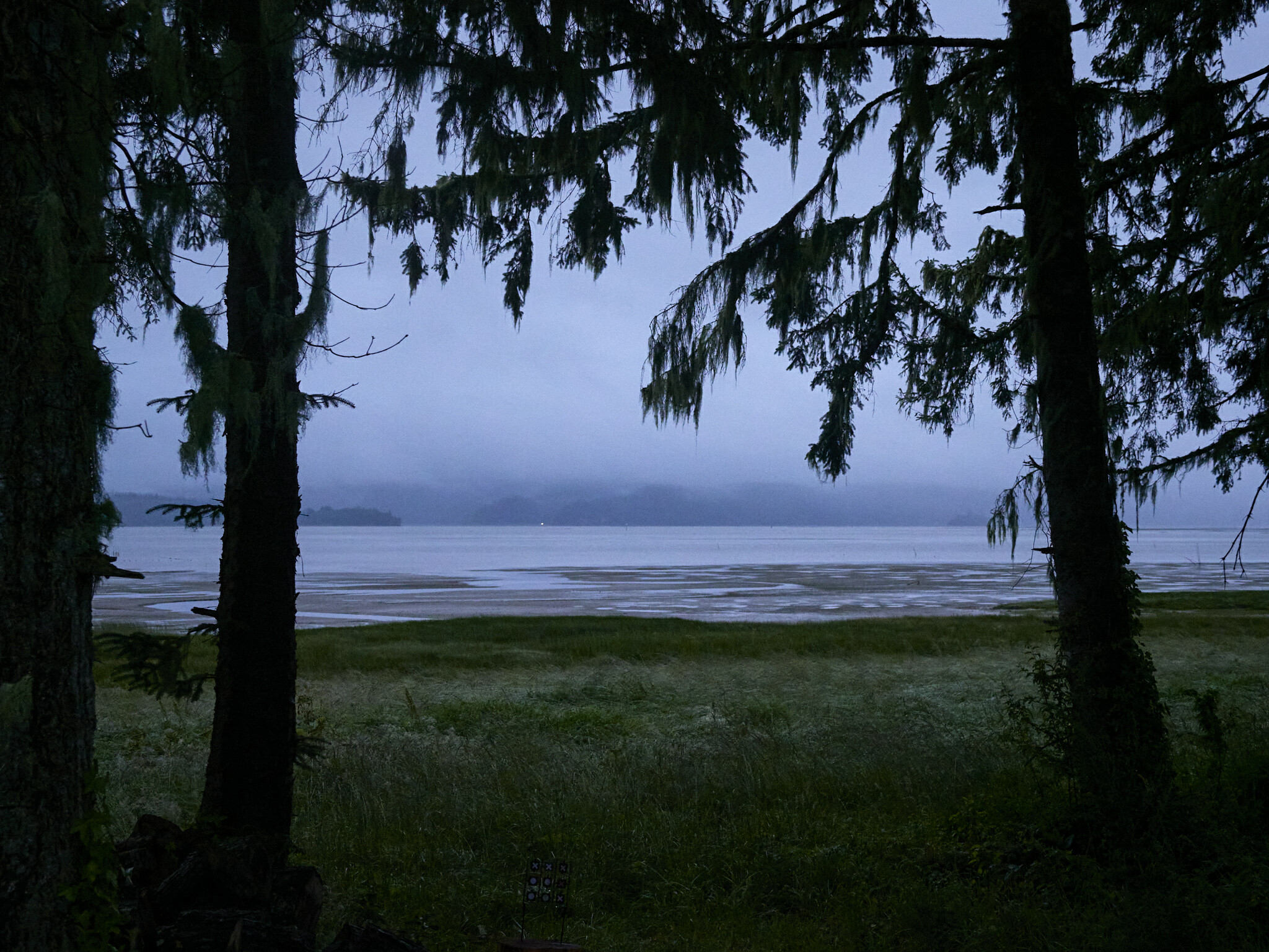 hh_willapa-bay-heritage-farm-llc_mid_182177_nils-eddy_22-07-01_3lxl4HX2YIS9K5Nb_38c18825bff1800c47de8812dc78396d.jpg  .jpg