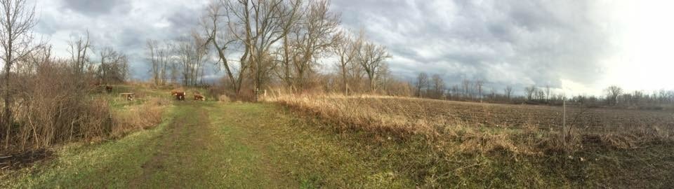 Willow Farm is an excellent Harvest Hosts location in Michigan.