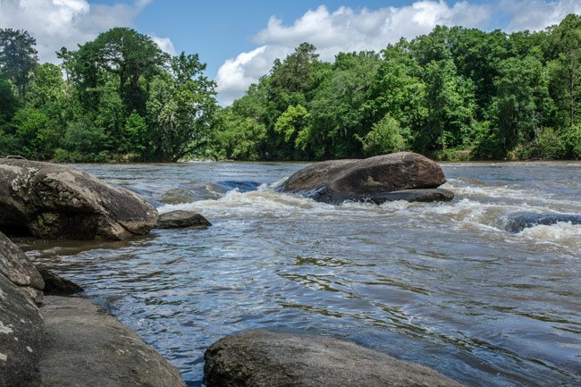 The Congaree River flowing strong in the spring. The water is rushing over rocks.