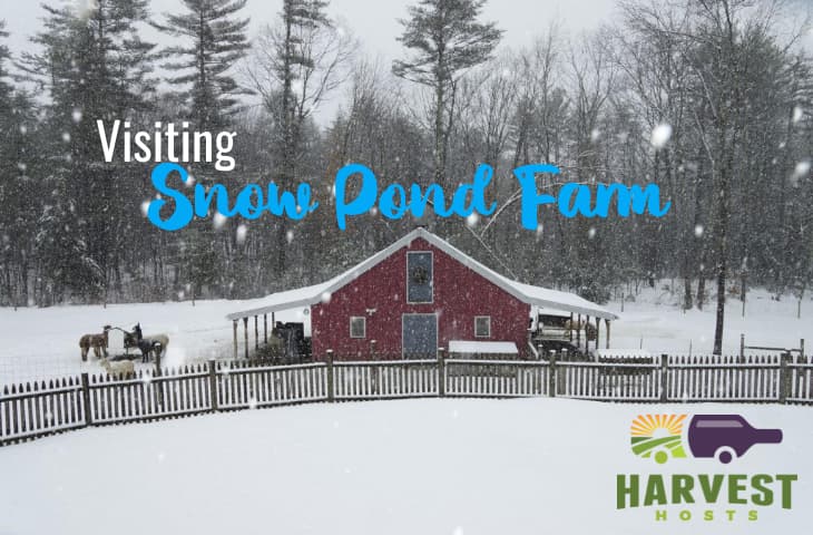 Visiting Snow Pond Farm