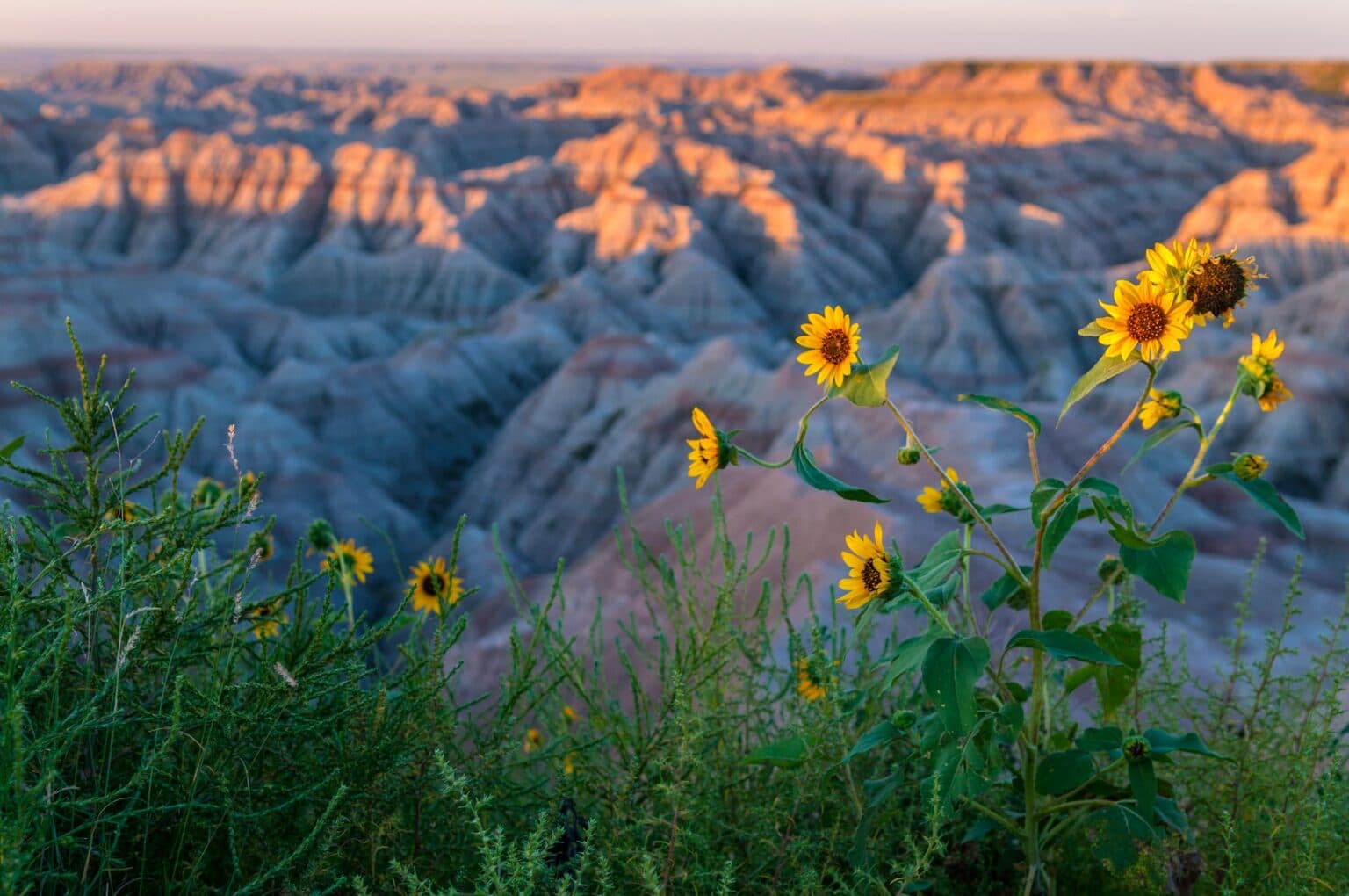Scenic view of Badlands landscape