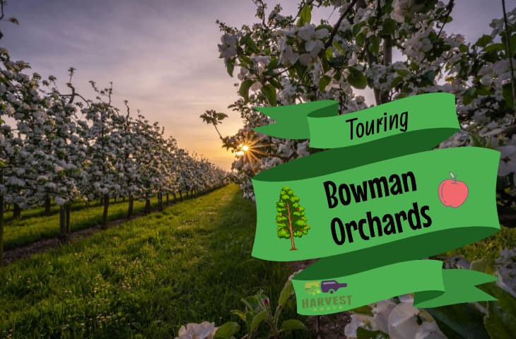 Bowman Orchards