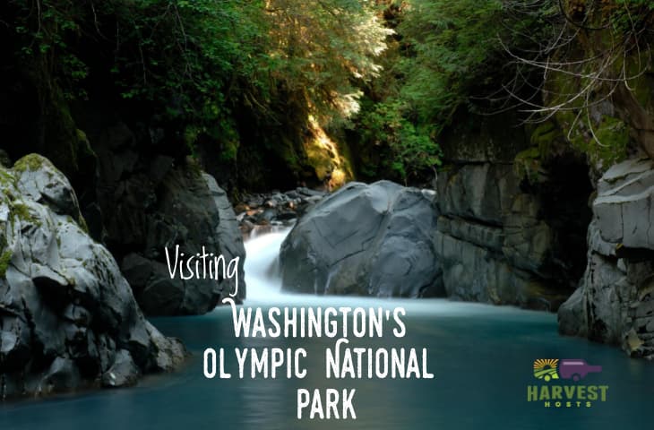 Visiting Washington's Olympic National Park