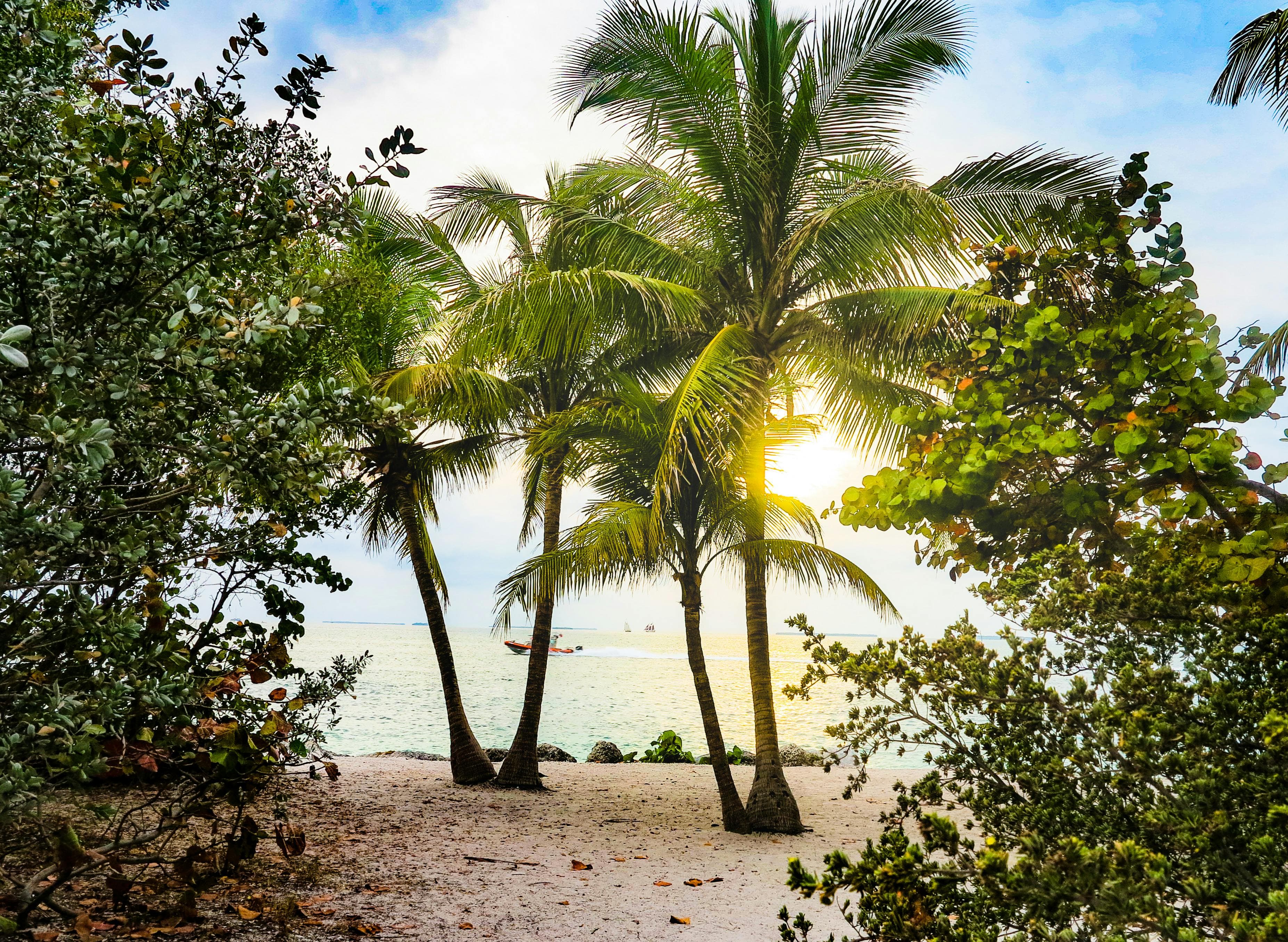 Discover the Best Hiking Trails for RV Campers in Florida