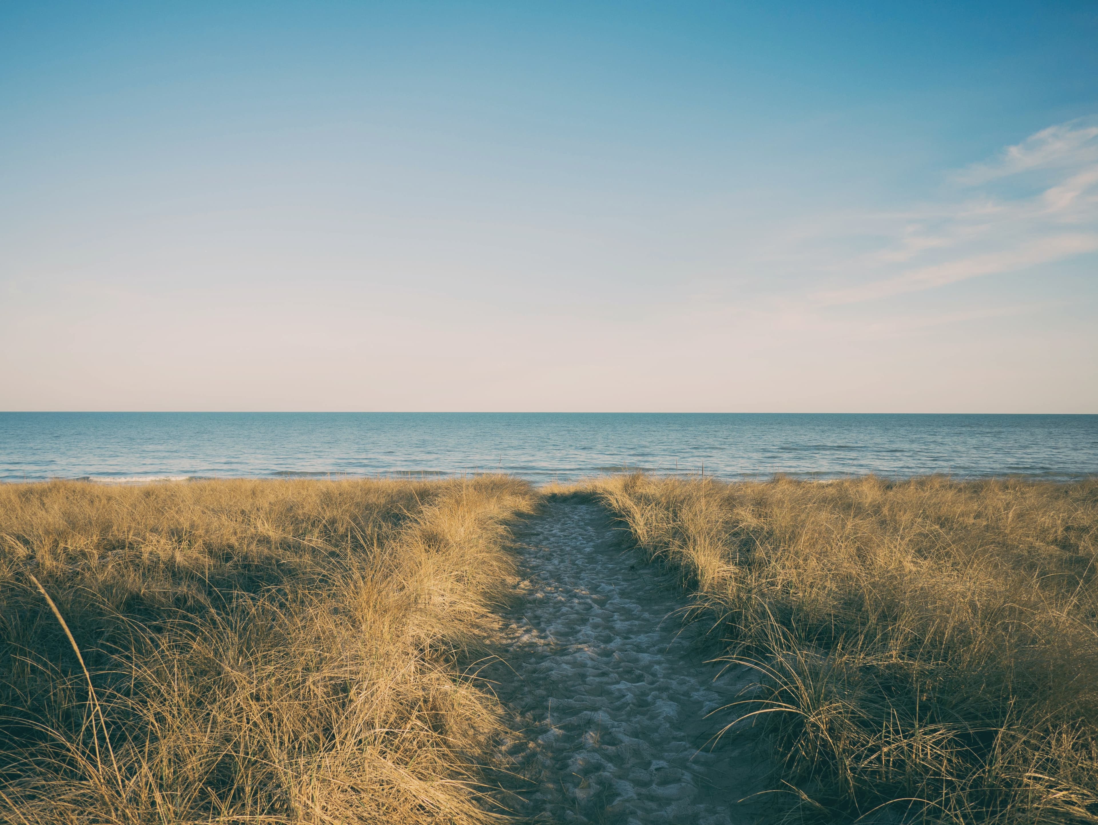 Your Ultimate Guide to Overnight RV Camping at Farms, Wineries, and Breweries in Michigan