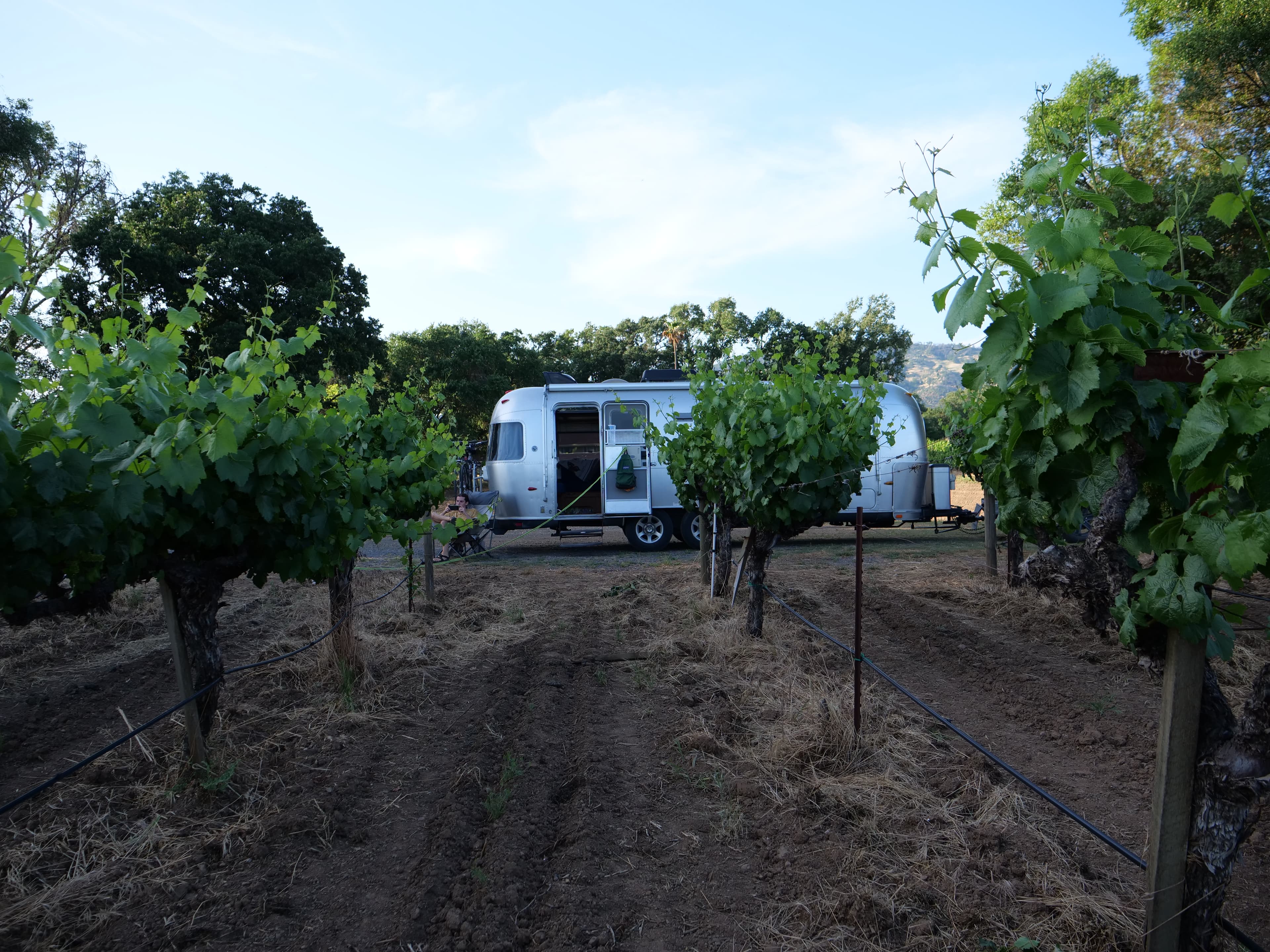8 Places to RV in California Wine Country: RV Camping at Wineries