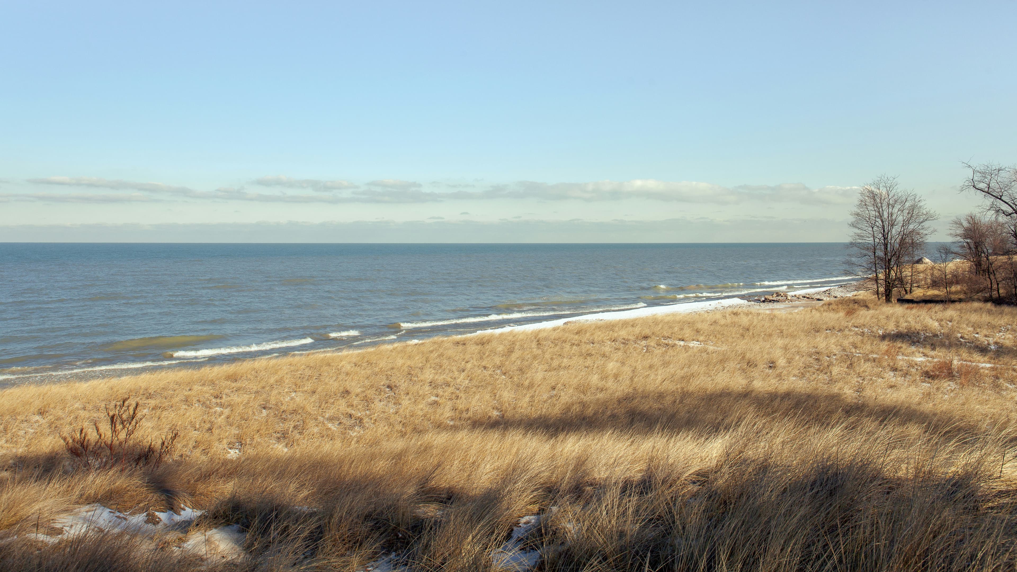 Scenic view of Indiana Dunes landscape