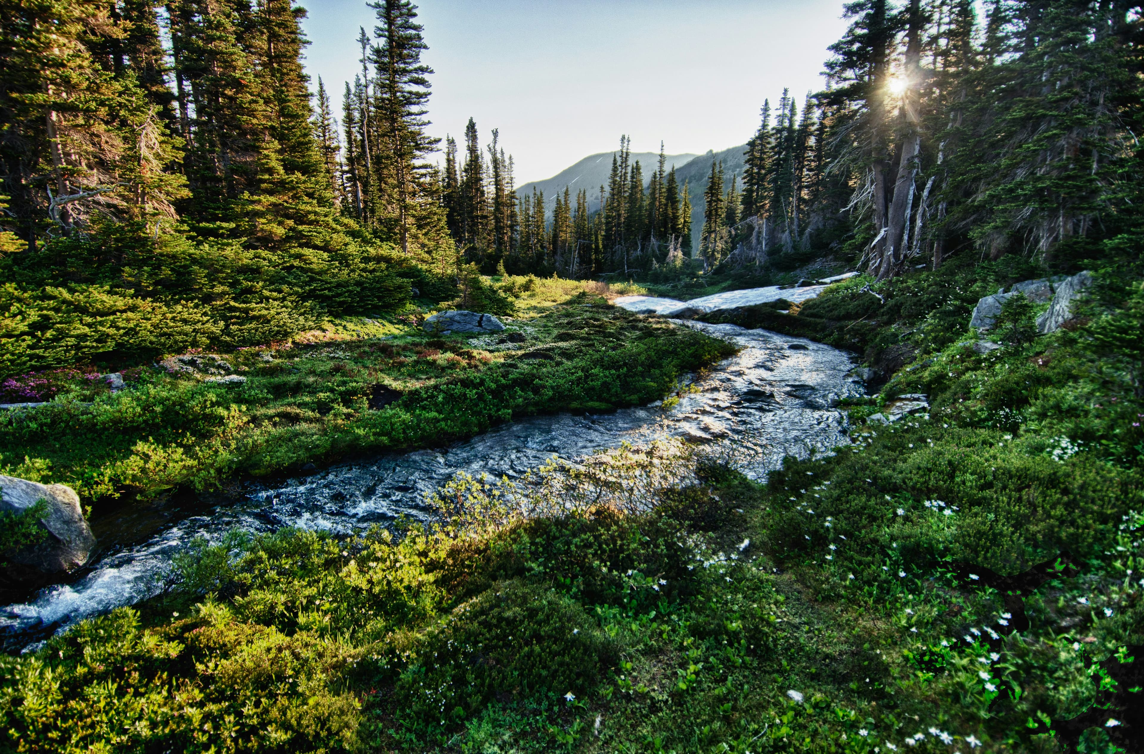 Scenic view of Olympic landscape