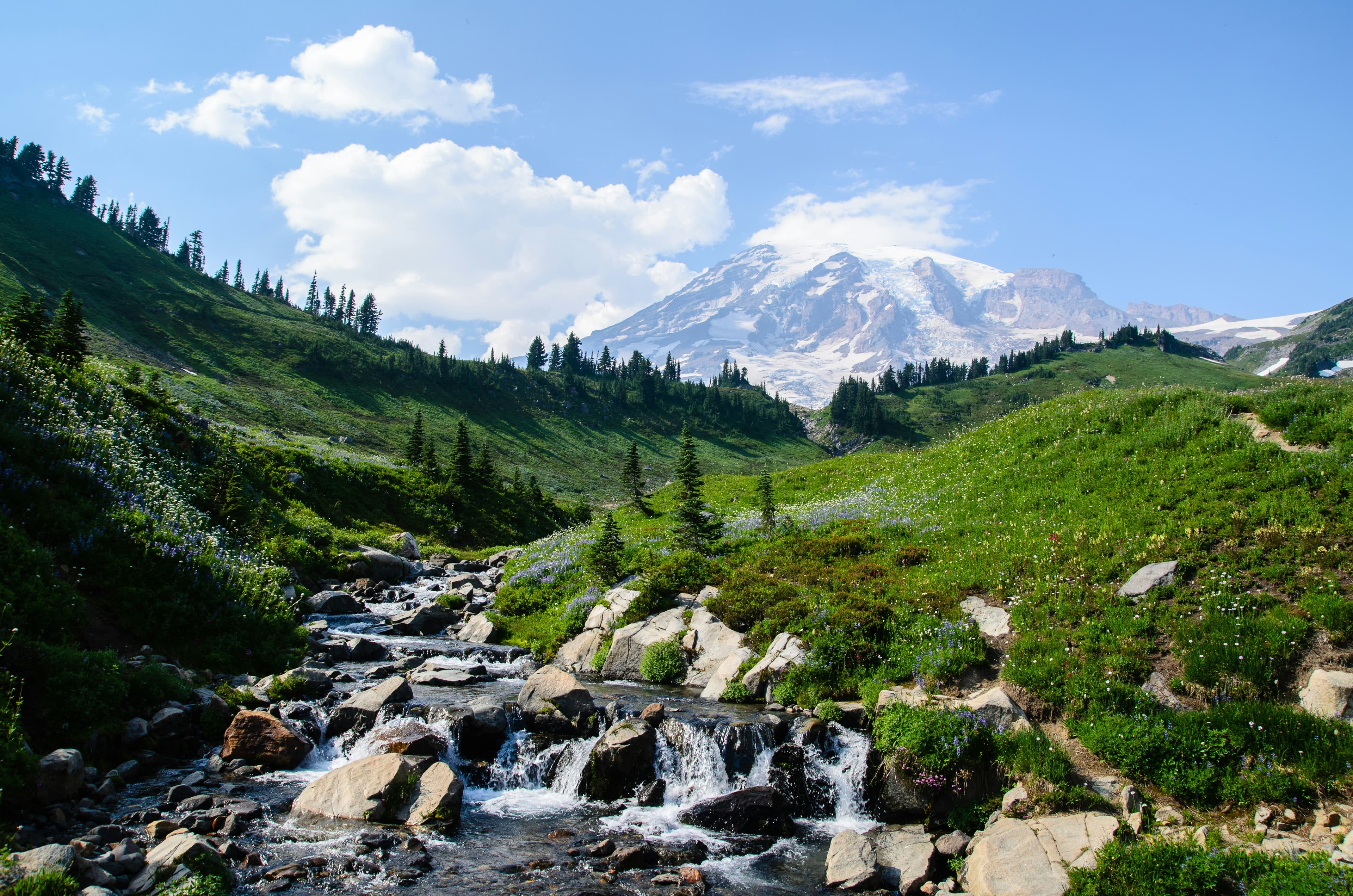 Scenic view of Mount Rainier landscape