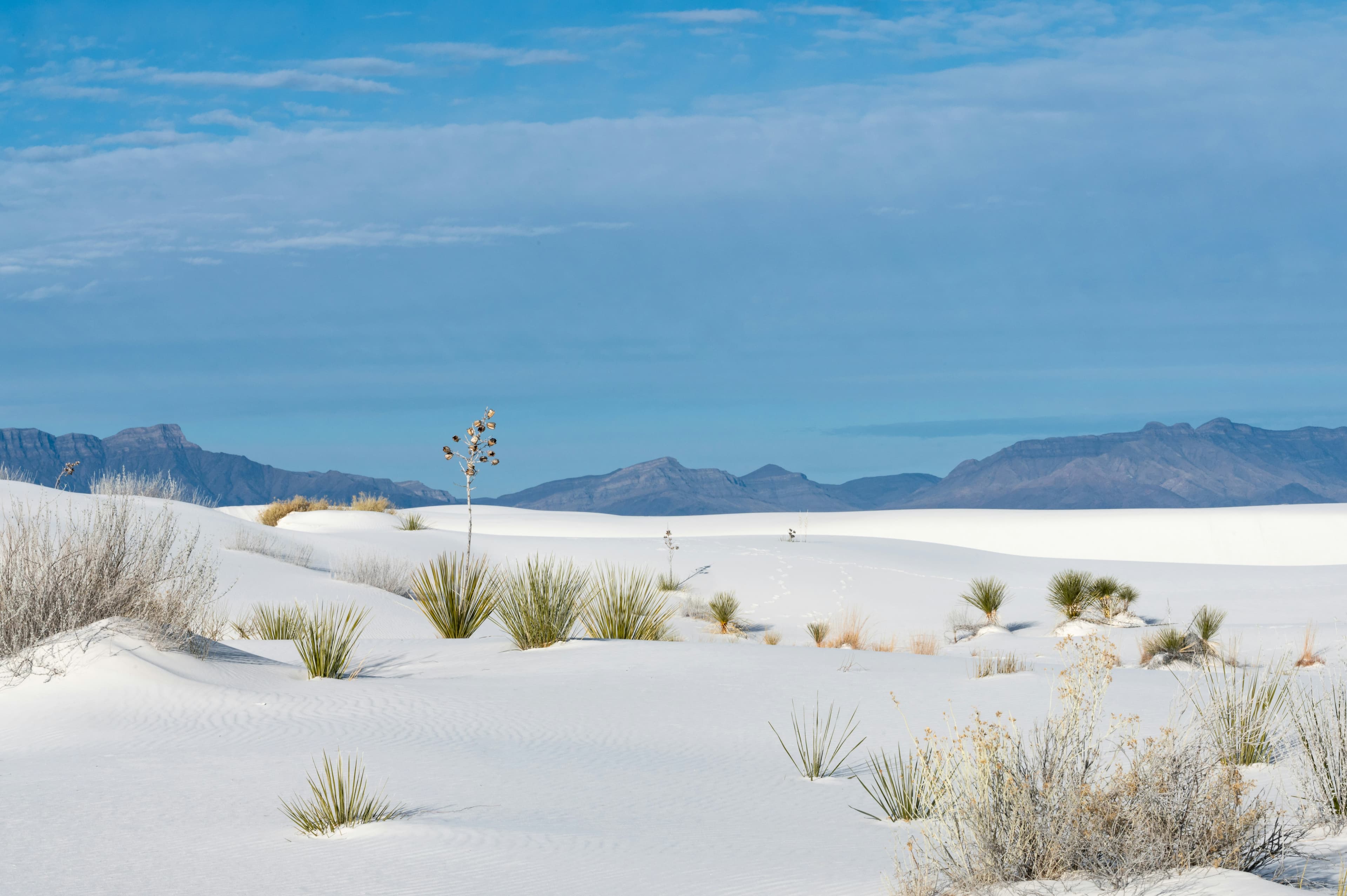 Scenic view of White Sands landscape