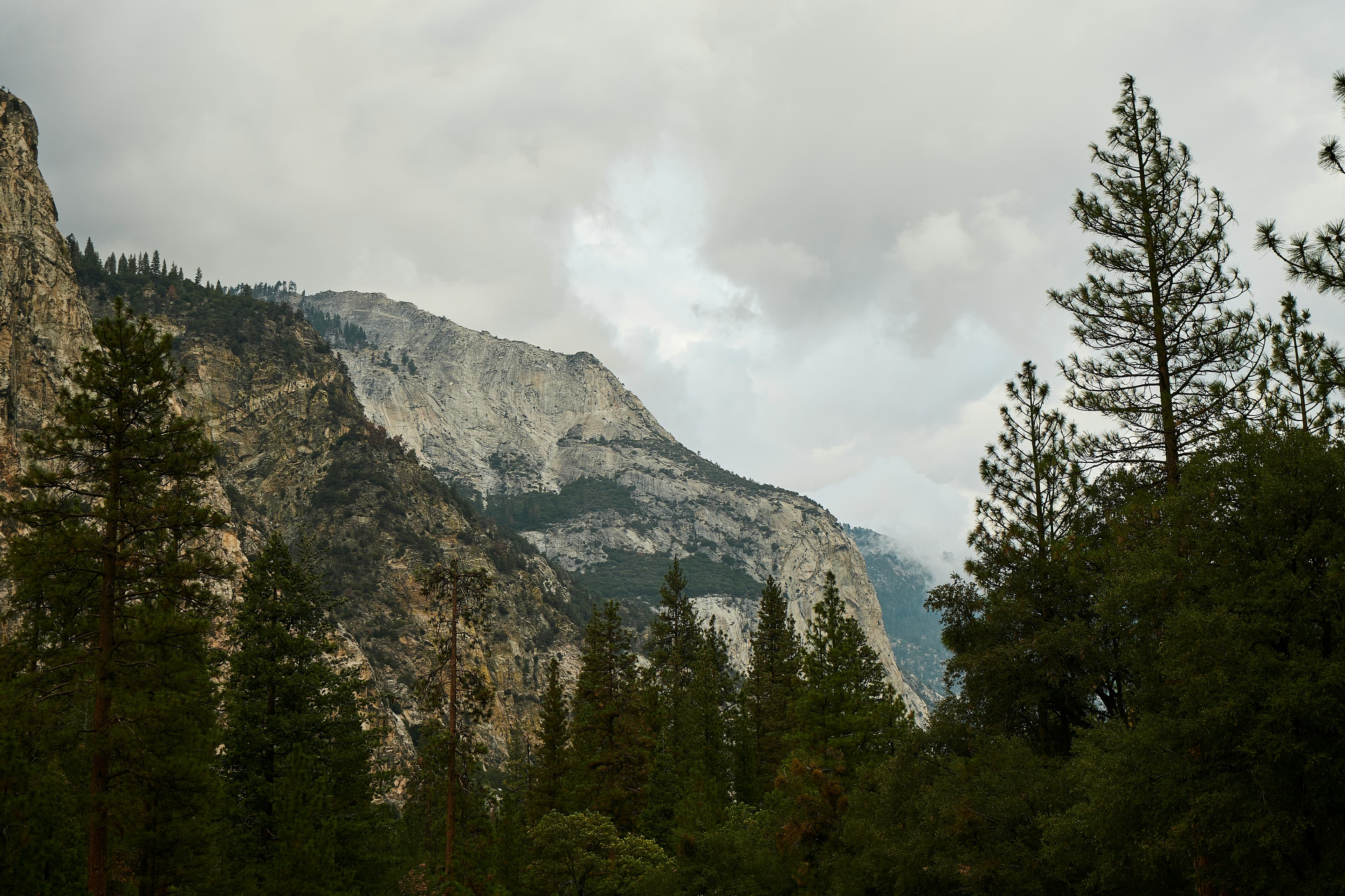 Scenic view of Kings Canyon landscape