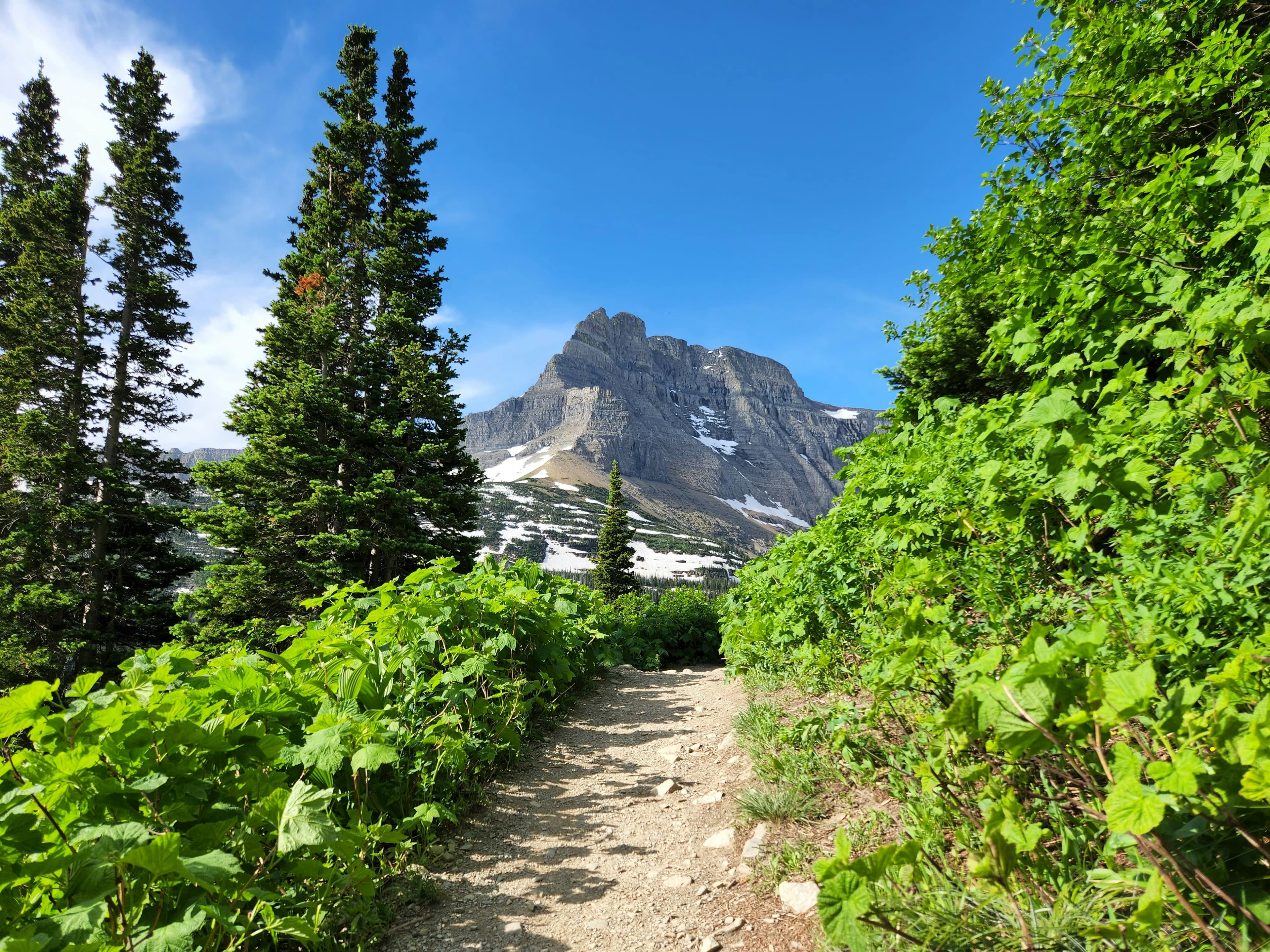 Glacier National Park