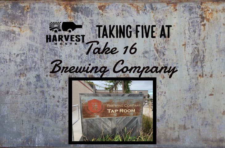 Taking Five at Take 16 Brewing Company